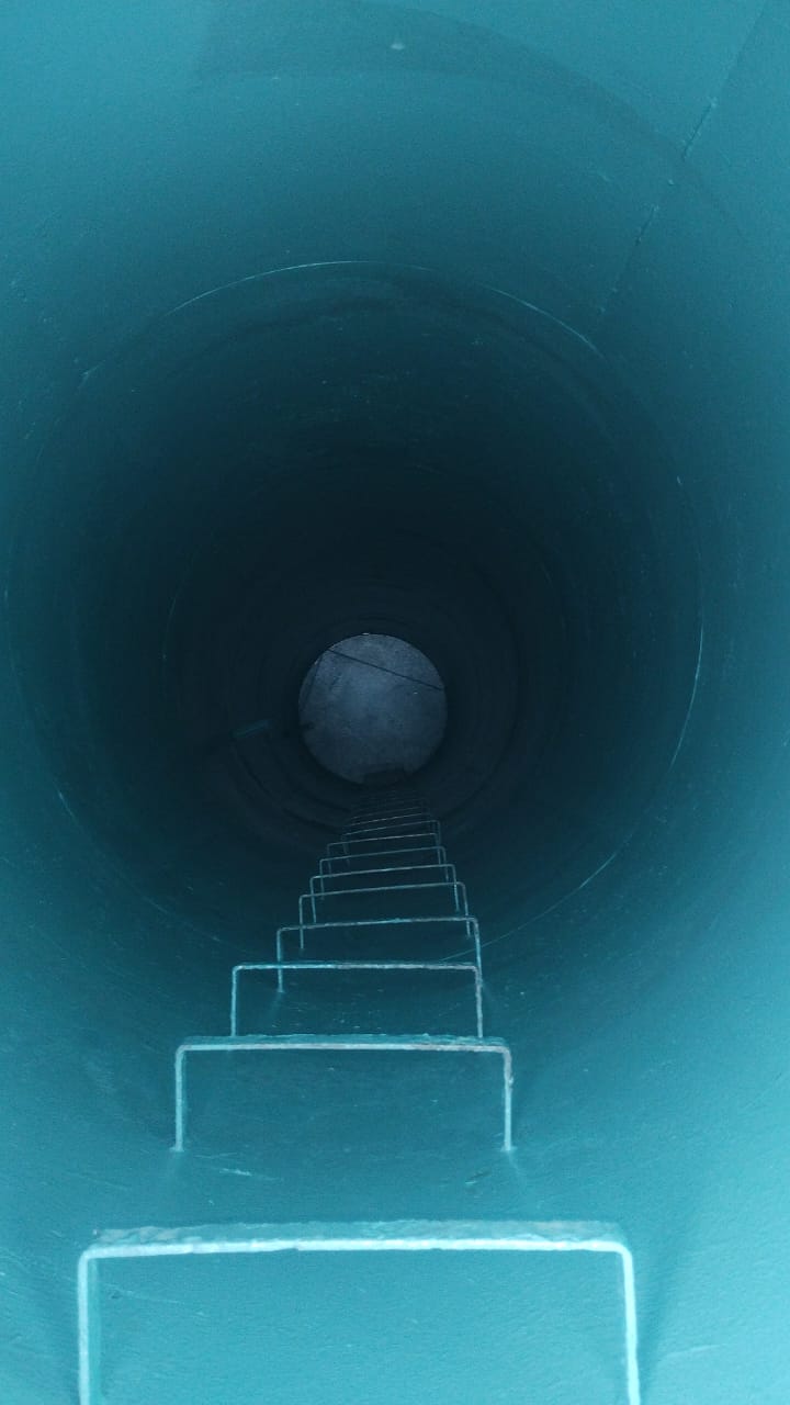 Higienização 100% Completa